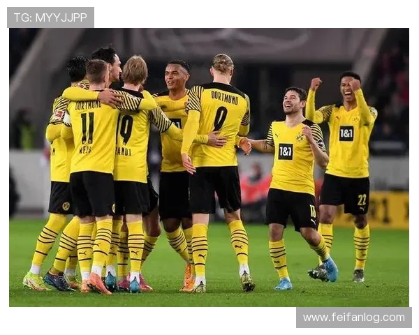 德甲球队主场容量排名与球迷氛围对比