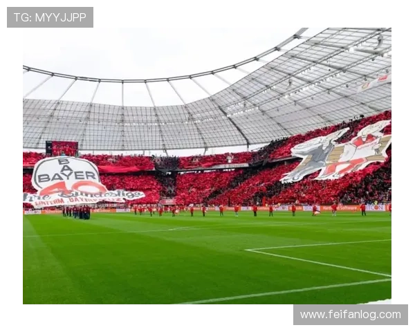 德甲球队特色球场图片展示及设计理念解析