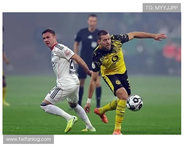 德甲球队曾遭遇的最大尴尬事件集锦 德甲球队曾遭遇的最大尴尬事件集锦