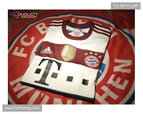 德甲球队贴纸与纪念品：球迷收藏推荐